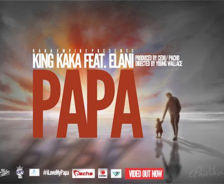 King Kaka – Papa ft Elani