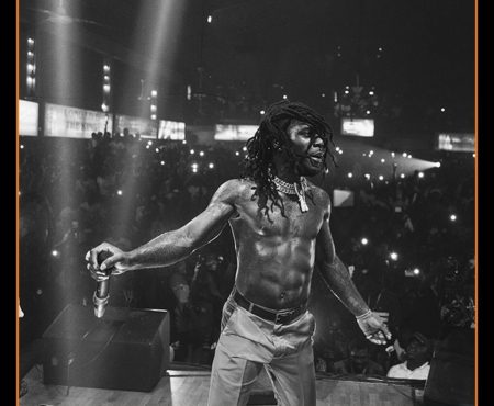 why Burna Boy deserved the Grammy Awards win, numbers don’t lie